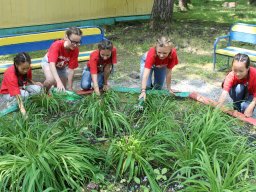 Мир Детства 2018